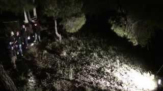 HAUNTED FOREST SALAMIS GREECE
